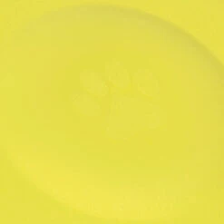 Disque Pour Chien Jaune -Plage Équipement Magasin disque pour chien jaune 4