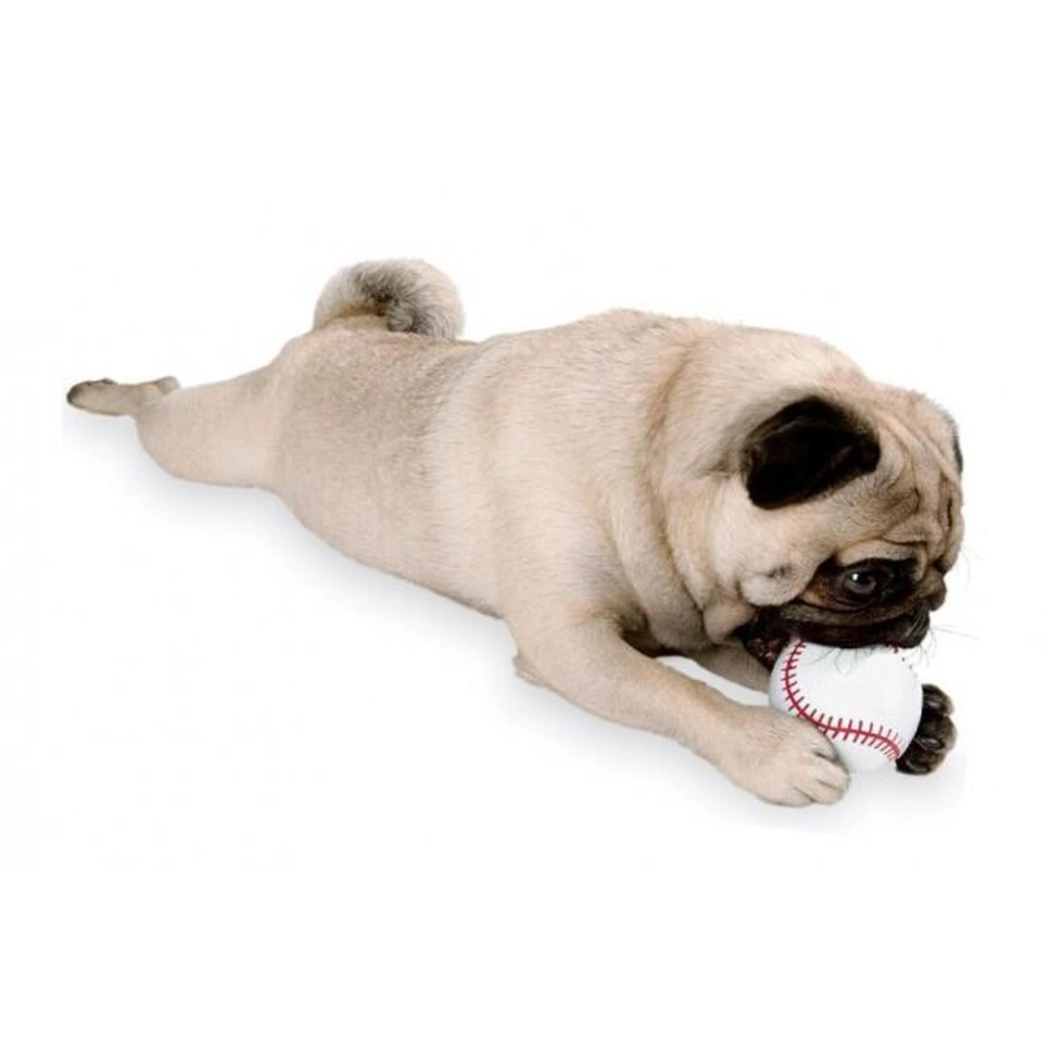 Jouet Pour Chien Planet Dog Balle De Baseball 4 Jouet Pour Chien Planet Dog Balle De Baseball – Image 2